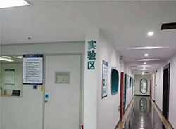 塔城私密亲子鉴定的流程（免费预约）