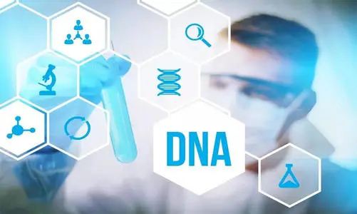 内蒙古区哪个医院能办理DNA鉴定,