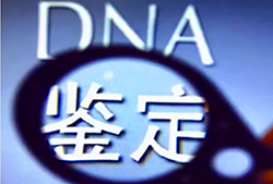 阜新什么医院能做DNA鉴定