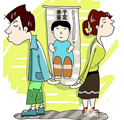 自贡隐私亲子鉴定要多少钱，自贡隐私亲子鉴定流程是什么