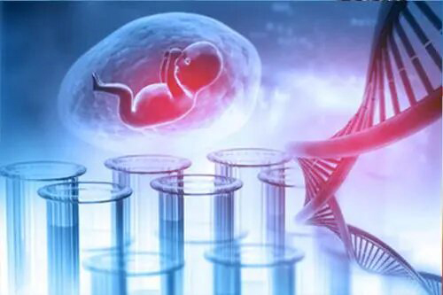 衡阳怀孕17周要如何办理DNA亲子鉴定,衡阳孕期亲子鉴定多少费用