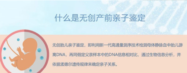 张家口怀孕如何做亲子鉴定,张家口产前办理亲子鉴定办理指南