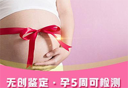 鄂州如何做孕期亲子鉴定