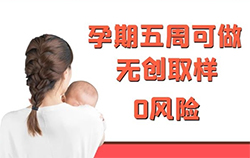 湖北省怀孕11周如何做亲子鉴定，湖北省孕期亲子鉴定收费多少