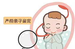 武汉怀孕了要如何办理DNA鉴定，武汉做产前亲子鉴定基本的流程