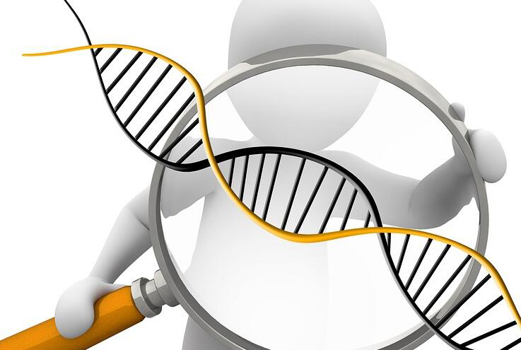 宁夏区偷偷做DNA鉴定需要怎么做,宁夏区偷偷做DNA亲子鉴定的流程