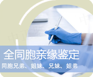 全同胞亲缘鉴定