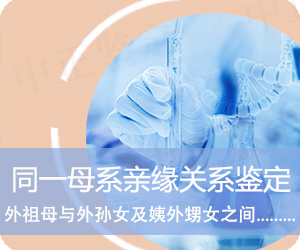 同一母系亲缘关系鉴定