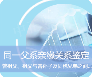 同一父系亲缘鉴定