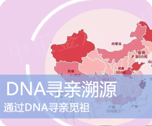 兴义DNA寻亲溯源